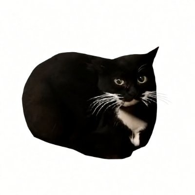 Maxwell loafed on a clean white background